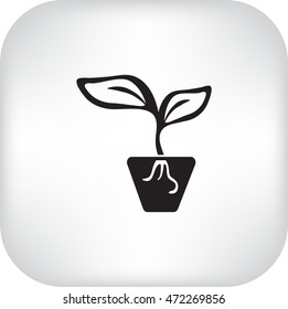 Icono plano. Una olla con la planta.