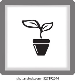 Icono plano. Una olla con la planta.