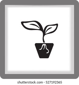 Flat icon. A pot with the plant.