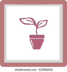 Flat icon. A pot with the plant.