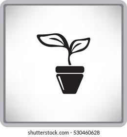 Flat icon. A pot with the plant.