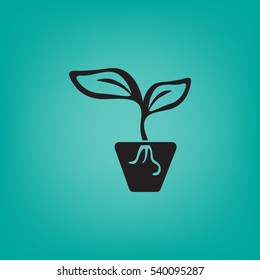 Icono plano. Una olla con la planta.