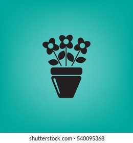 Flat icon. A pot with the plant. 