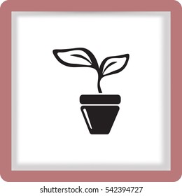 Flat icon. A pot with the plant.