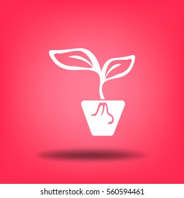 Icono plano. Una olla con la planta.