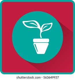 Flat icon. A pot with the plant.