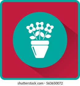 Flat icon. A pot with the plant. 