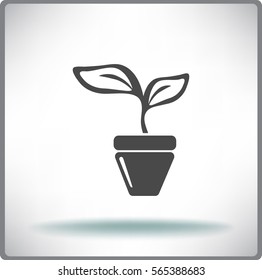 Flat icon. A pot with the plant.