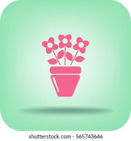 Flat icon. A pot with the plant. 