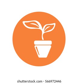 Flat icon. A pot with the plant.
