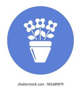 Flat icon. A pot with the plant. 