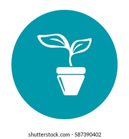 Icono plano. Una olla con la planta.