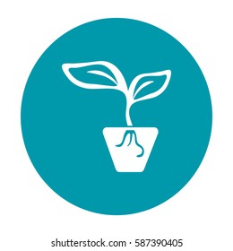 Flat icon. A pot with the plant.
