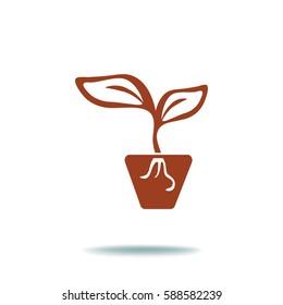 Icono plano. Una olla con la planta.