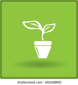 Flat icon. A pot with the plant.