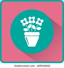 Flat icon. A pot with the plant. 