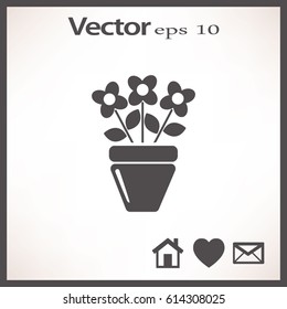 Flat icon. A pot with the plant. 