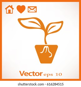 Icono plano. Una olla con la planta.