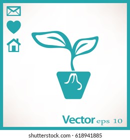 Flat icon. A pot with the plant.