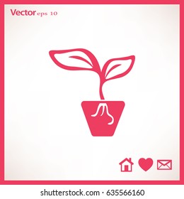 Flat icon. A pot with the plant.