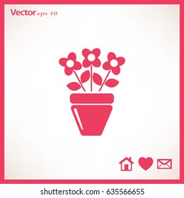 Icono plano. Una olla con la planta. 