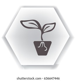 Flat icon. A pot with the plant.