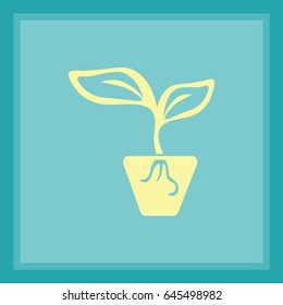 Flat icon. A pot with the plant.