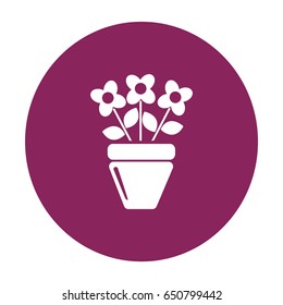 Flat icon. A pot with the plant. 