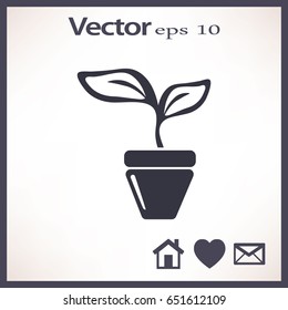 Icono plano. Una olla con la planta.