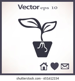 Flat icon. A pot with the plant.