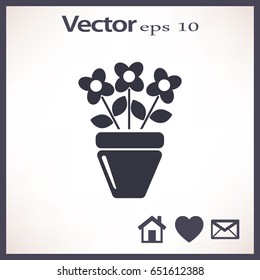 Icono plano. Una olla con la planta. 