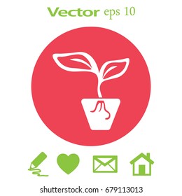 Icono plano. Una olla con la planta.