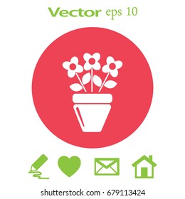 Icono plano. Una olla con la planta. 