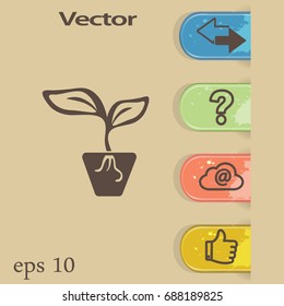 Flat icon. A pot with the plant.