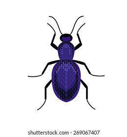 Flat icon of purple beetle.