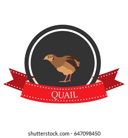 flat icon quail with the name in vector format