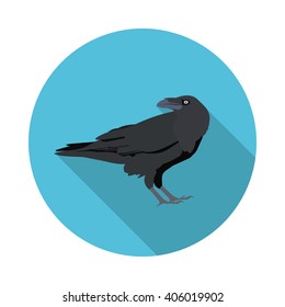 flat icon Raven in vector format eps10