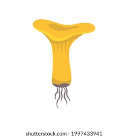 Flat icon with raw yellow chanterelle mushroom on white background vector illustration