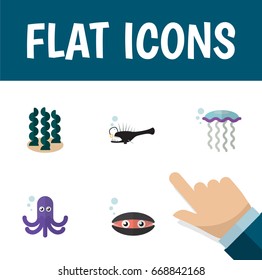 Flat Icon Sea Set Of Alga, Medusa, Tentacle And Other Vector Objects. Also Includes Squid, Octopus 