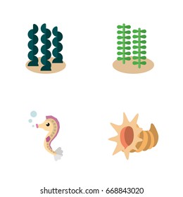 Flat Icon Sea Set Of Alga, Hippocampus, Seashell And Other Vector Objects. Also Includes Seaweed, Horse, Scallop Elements.