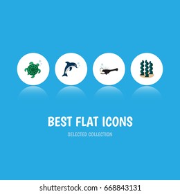 Flat Icon Sea Set Of Alga, Tortoise, Fish And Other Vector Objects. Also Includes Fish, Seaweed, Dolphin Elements.