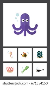 Flat Icon Sea Set Of Alga, Algae, Hippocampus And Other Vector Objects. Also Includes Sea, Hippocampus, Algae Elements.