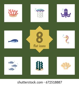 Flat Icon Sea Set Of Alga, Tuna, Conch And Other Vector Objects. Also Includes Hippocampus, Squid, Whale Elements.