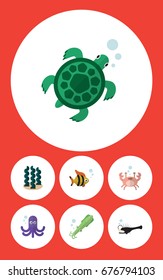 Flat Icon Sea Set Of Alga, Octopus, Seafood And Other Vector Objects. Also Includes Angler, Octopus, Crab Elements.