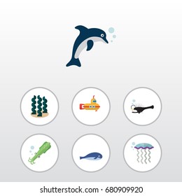 Flat Icon Sea Set Of Alga, Fish, Playful Fish And Other Vector Objects. Also Includes Dolphin, Octopus, Alga Elements.