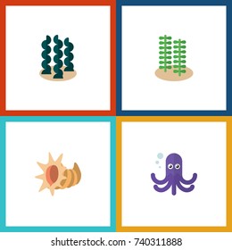 Flat Icon Sea Set Of Alga, Tentacle, Seashell And Other Vector Objects. Also Includes Squid, Octopus, Scallop Elements.