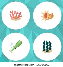 Flat Icon Sea Set Of Algae, Alga, Seashell And Other Vector Objects. Also Includes Seashell, Scallop, Spirulina Elements.