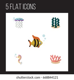 Flat Icon Sea Set Of Algae, Medusa, Hippocampus And Other Vector Objects. Also Includes Coral, Seaweed, Fish Elements.