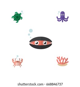 Flat Icon Sea Set Of Algae, Tentacle, Tortoise And Other Vector Objects. Also Includes Lobster, Seashell, Seaweed Elements.