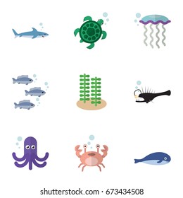 Flat Icon Sea Set Of Cachalot, Cancer, Tortoise And Other Vector Objects. Also Includes Angler, Spirulina, Seafood Elements.